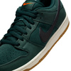Buty NIKE SB Dunk Low Pro /Deep Fir/Black Fir Sail @FJ1674-300